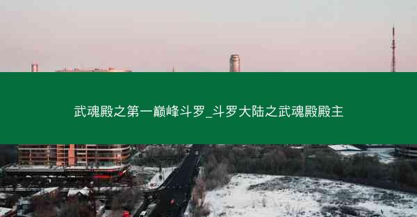 武魂殿之第一巅峰斗罗_斗罗大陆之武魂殿殿主