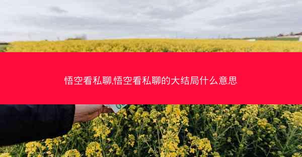 悟空看私聊,悟空看私聊的大结局什么意思