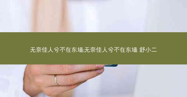 无奈佳人兮不在东墙;无奈佳人兮不在东墙 舒小二