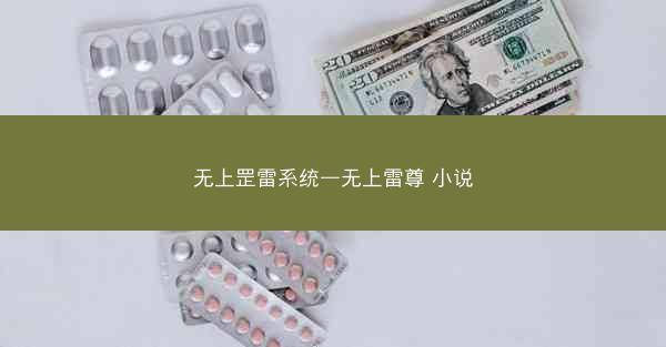 无上罡雷系统—无上雷尊 小说