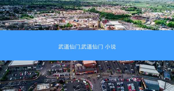 武道仙门,武道仙门 小说