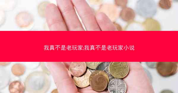 我真不是老玩家;我真不是老玩家小说