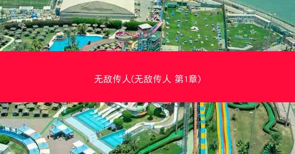 无敌传人(无敌传人 第1章)