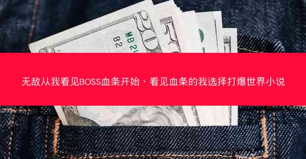 无敌从我看见BOSS血条开始、看见血条的我选择打爆世界小说