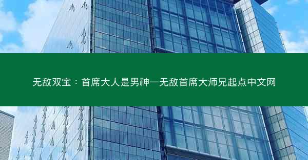 无敌双宝：首席大人是男神—无敌首席大师兄起点中文网