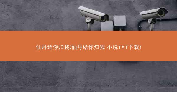 仙丹给你归我(仙丹给你归我 小说TXT下载)