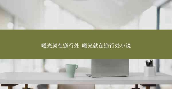 曦光就在逆行处_曦光就在逆行处小说