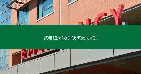 武帝破天决(武决破天 小说)