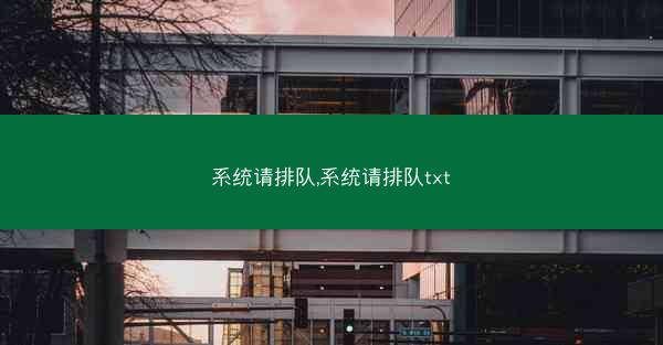 系统请排队,系统请排队txt