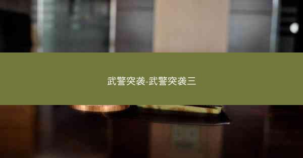 武警突袭-武警突袭三