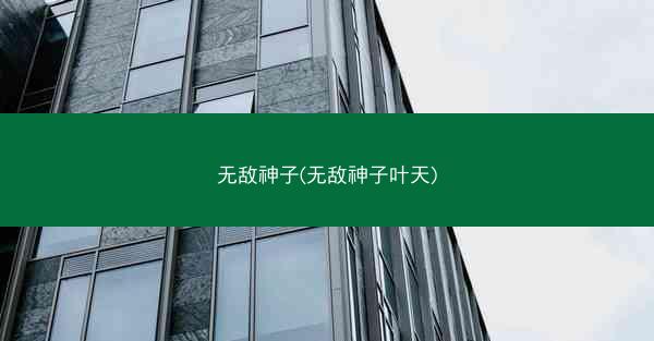 无敌神子(无敌神子叶天)