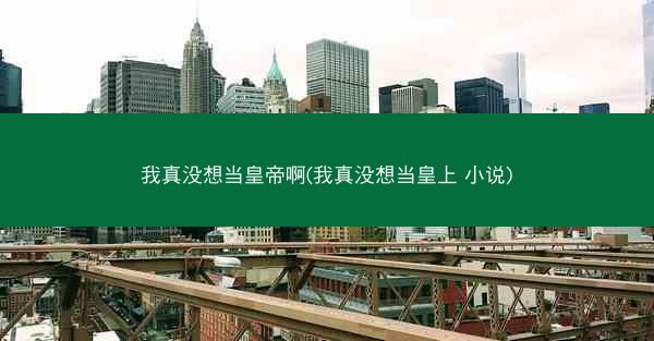 我真没想当皇帝啊(我真没想当皇上 小说)