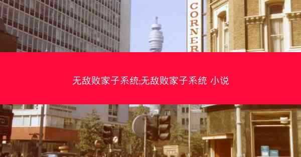 无敌败家子系统;无敌败家子系统 小说