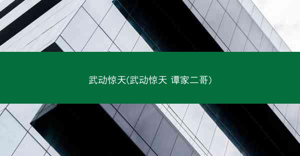 武动惊天(武动惊天 谭家二哥)