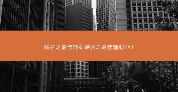 峡谷之最佳辅助;峡谷之最佳辅助TXT
