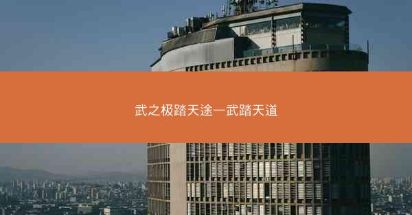 武之极踏天途—武踏天道
