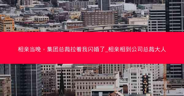相亲当晚，集团总裁拉着我闪婚了_相亲相到公司总裁大人