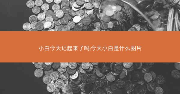 小白今天记起来了吗;今天小白是什么图片