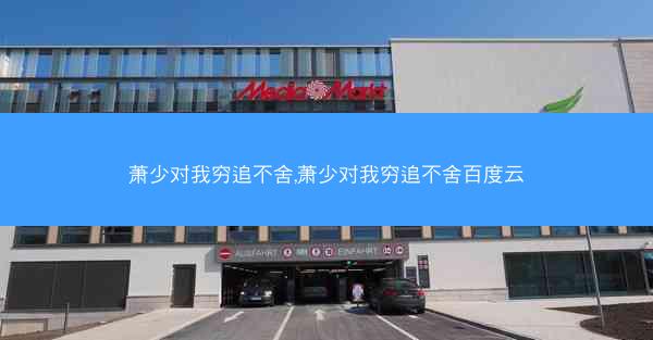 萧少对我穷追不舍,萧少对我穷追不舍百度云