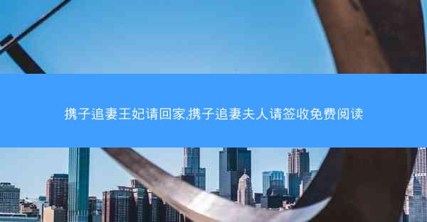 携子追妻王妃请回家,携子追妻夫人请签收免费阅读