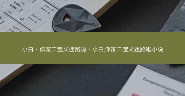 小白，你家二宝又迷路啦、小白,你家二宝又迷路啦小说