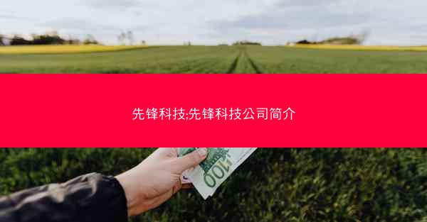 先锋科技;先锋科技公司简介