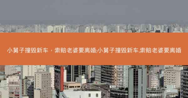 小舅子撞毁新车，索赔老婆要离婚;小舅子撞毁新车,索赔老婆要离婚