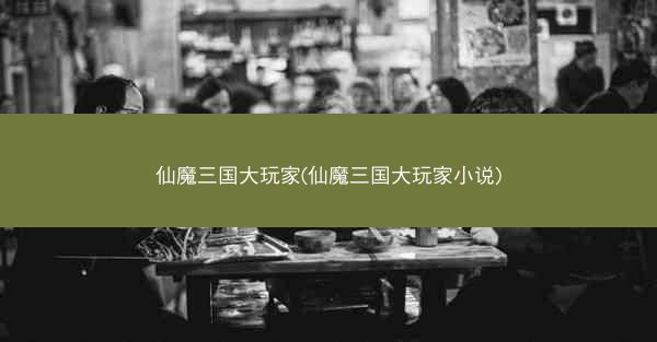 仙魔三国大玩家(仙魔三国大玩家小说)