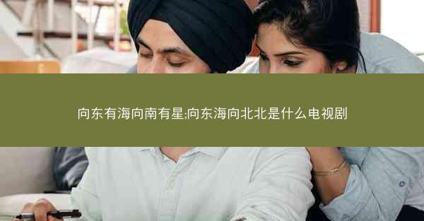 向东有海向南有星;向东海向北北是什么电视剧