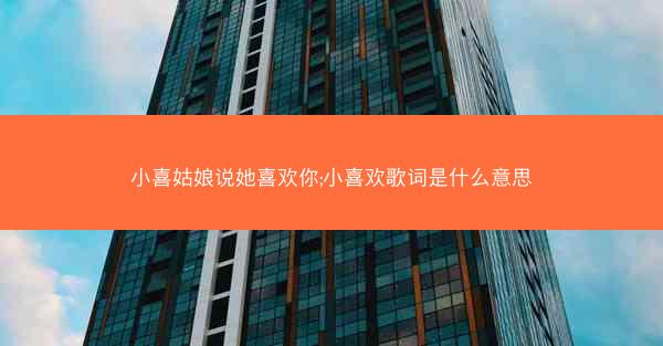 小喜姑娘说她喜欢你;小喜欢歌词是什么意思
