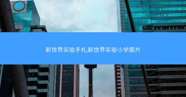 新世界实验手札;新世界实验小学图片