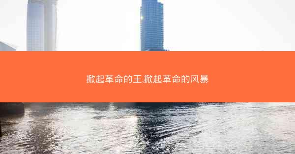 掀起革命的王,掀起革命的风暴