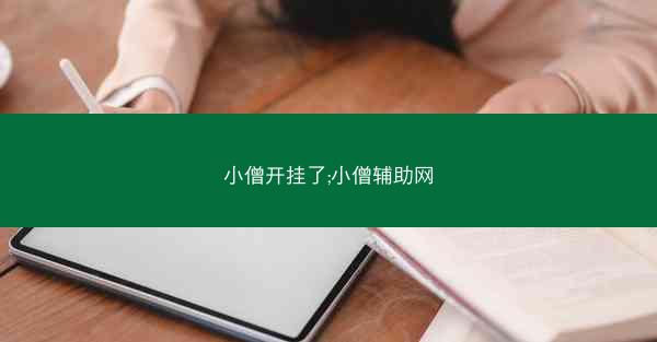 小僧开挂了;小僧辅助网