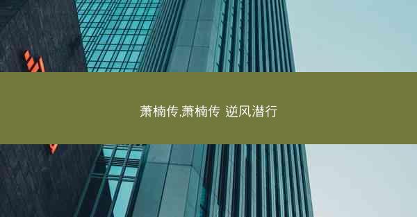 萧楠传,萧楠传 逆风潜行