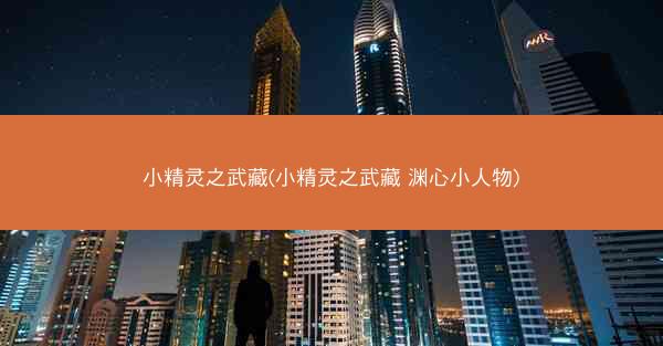 小精灵之武藏(小精灵之武藏 渊心小人物)