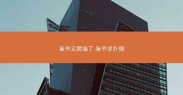 枭爷又爬墙了-枭爷求扑倒