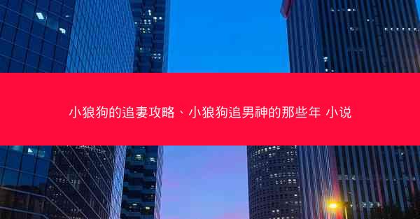 小狼狗的追妻攻略、小狼狗追男神的那些年 小说