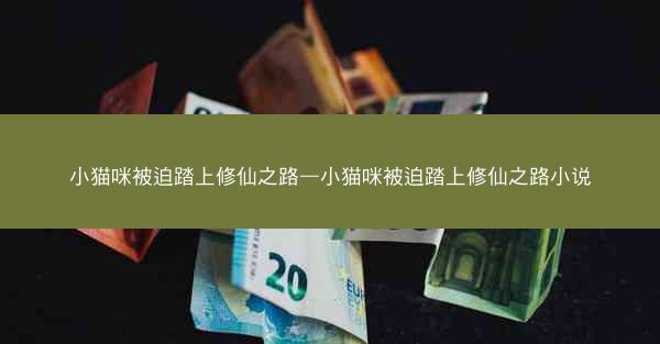 小猫咪被迫踏上修仙之路—小猫咪被迫踏上修仙之路小说