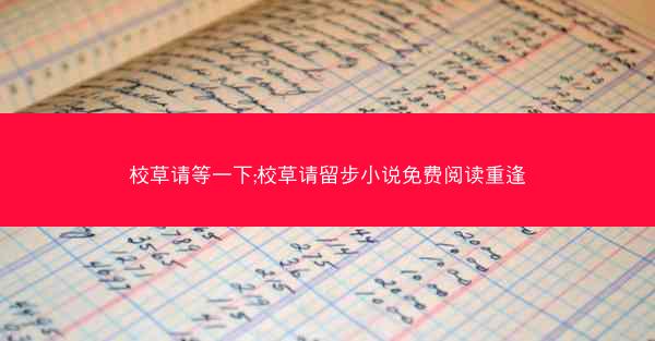 校草请等一下;校草请留步小说免费阅读重逢