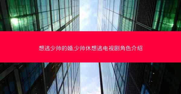 想逃少帅的婚,少帅休想逃电视剧角色介绍
