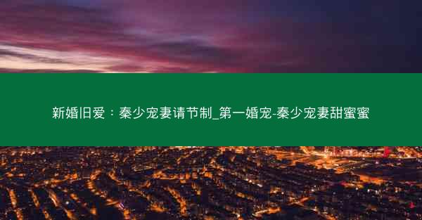 新婚旧爱：秦少宠妻请节制_第一婚宠-秦少宠妻甜蜜蜜