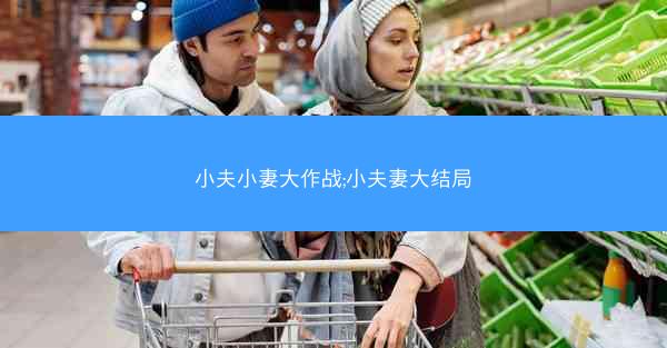 小夫小妻大作战;小夫妻大结局