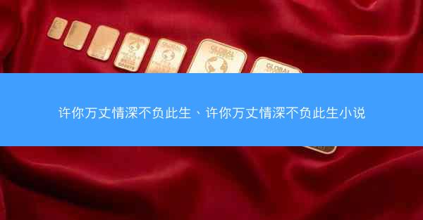 许你万丈情深不负此生、许你万丈情深不负此生小说