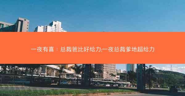 一夜有喜：总裁爸比好给力;一夜总裁爹地超给力