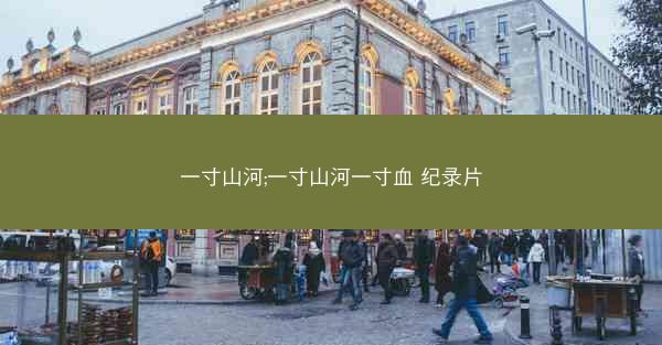 一寸山河;一寸山河一寸血 纪录片