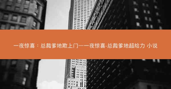 一夜惊喜：总裁爹地欺上门—一夜惊喜-总裁爹地超给力 小说