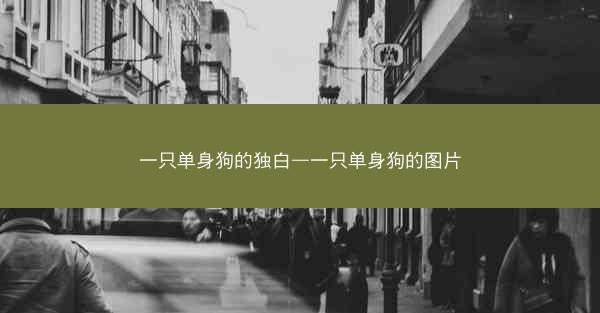 一只单身狗的独白—一只单身狗的图片