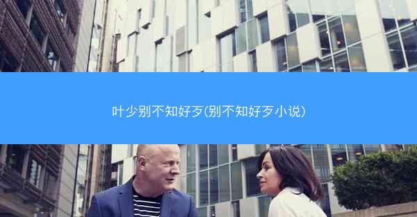 叶少别不知好歹(别不知好歹小说)