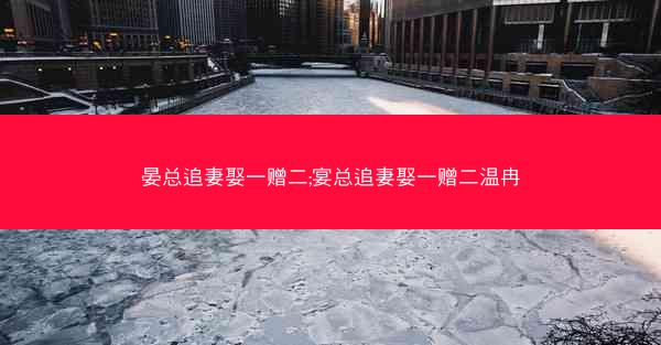 晏总追妻娶一赠二;宴总追妻娶一赠二温冉