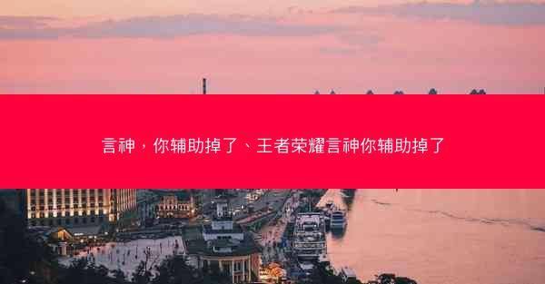 言神，你辅助掉了、王者荣耀言神你辅助掉了